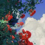 Freeandeasy的头像-拟人圈