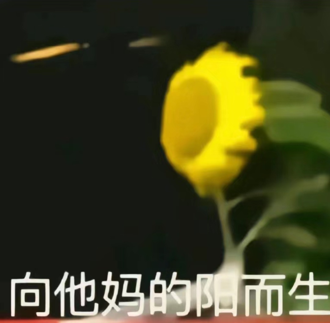 上课无聊写的,可能写的跟史一样-拟人圈