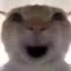 PRK_Joseon的头像-拟人圈