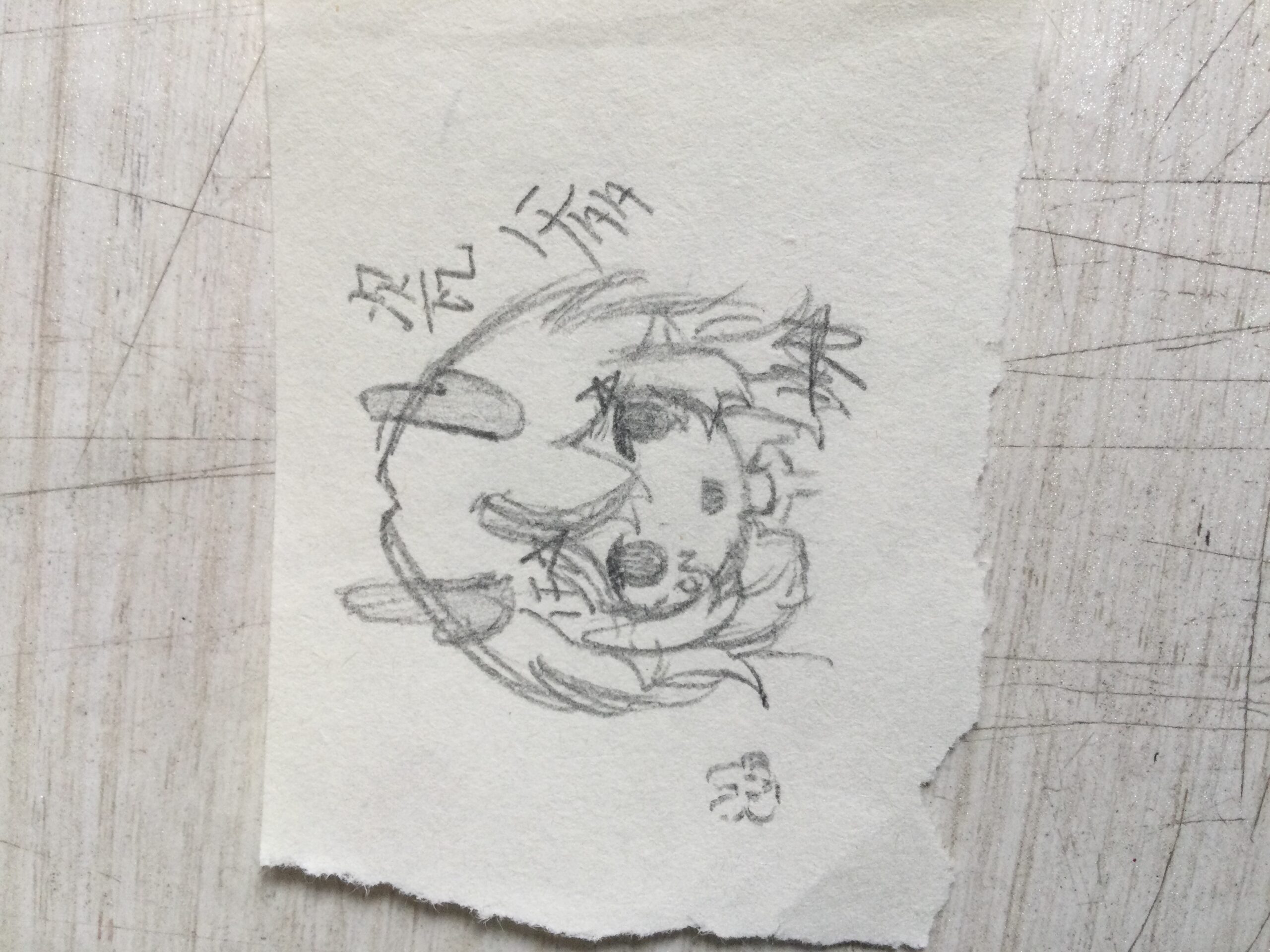 拟人圈