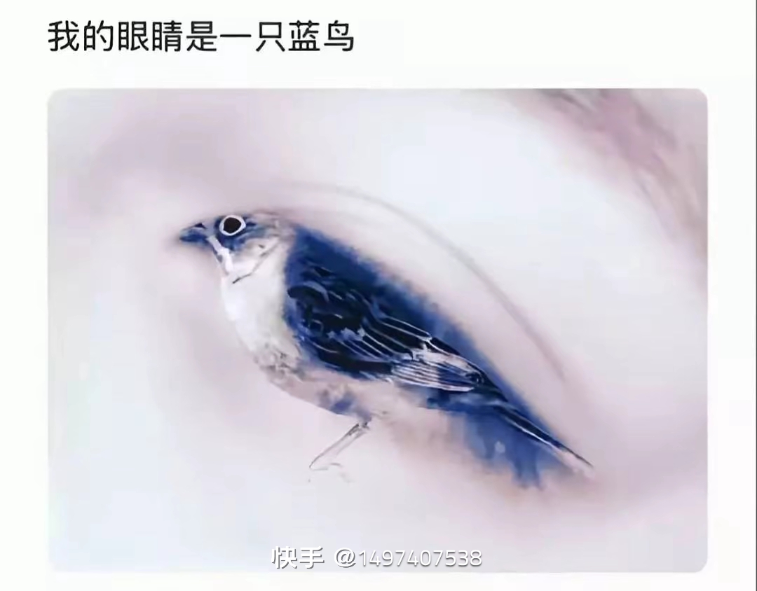 拟人圈