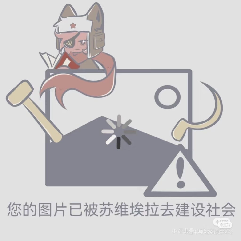 Camera_1040g3k831io14kf21e6g5pmha8bnc8r45t0b4m8