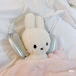 .呆呆魚.的头像-拟人圈