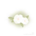 ch.小山茶花的头像-拟人圈