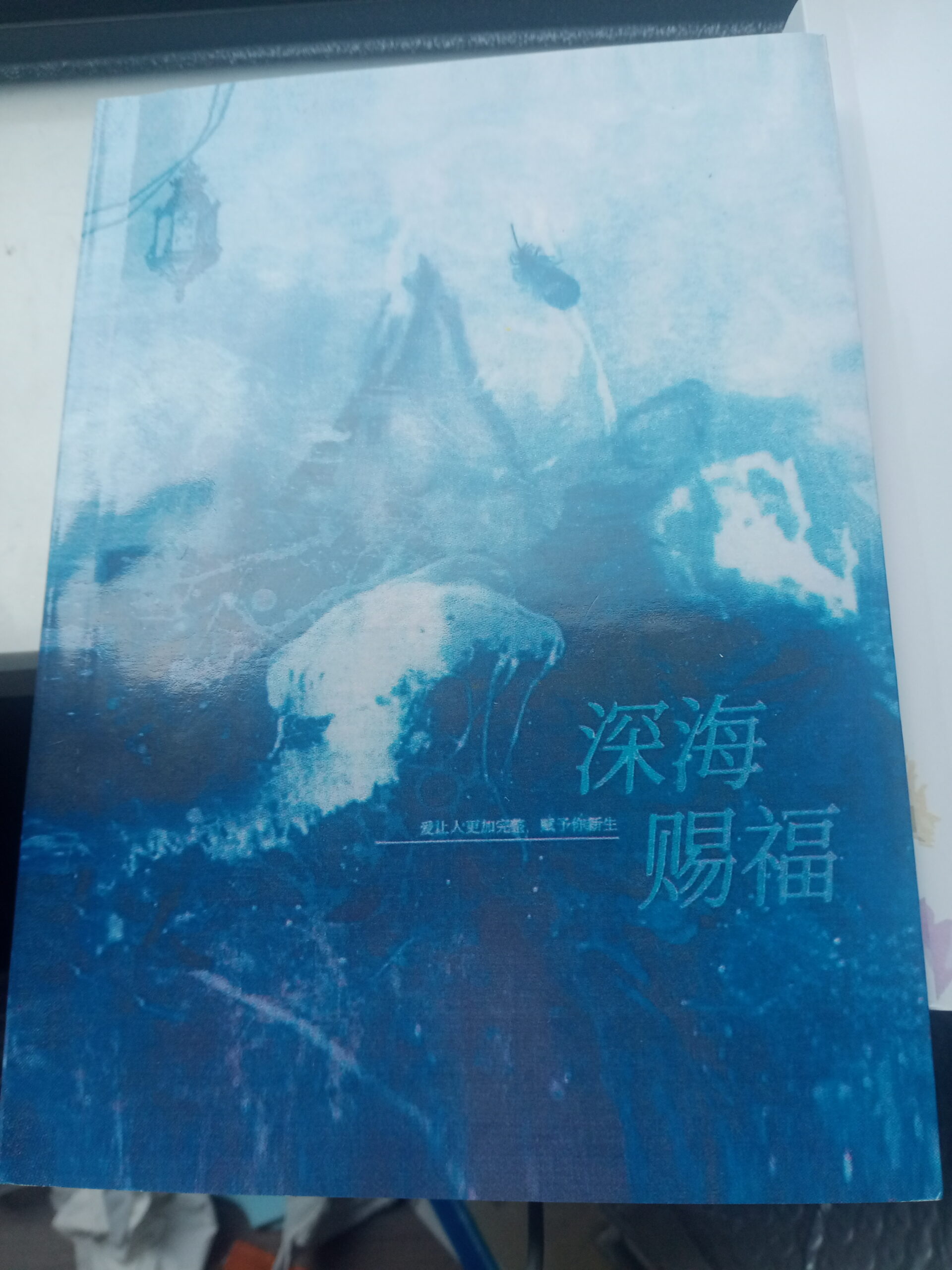 拟人圈