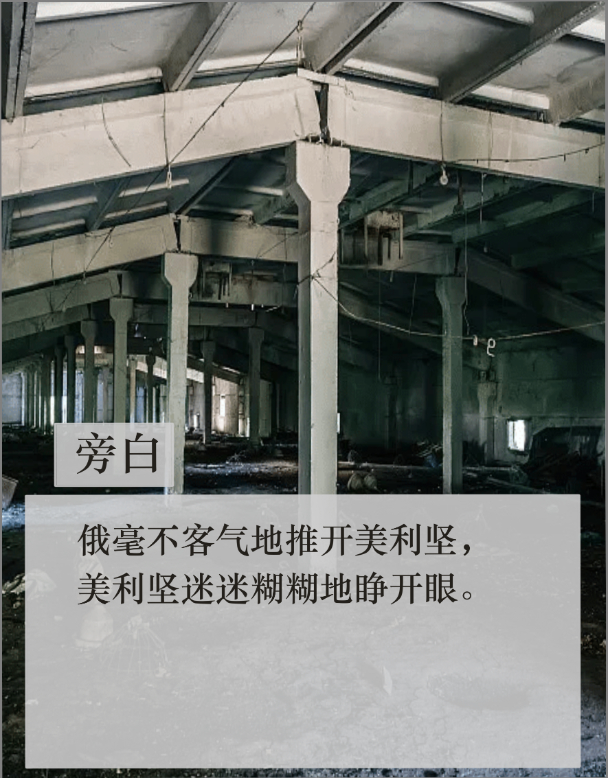 拟人圈