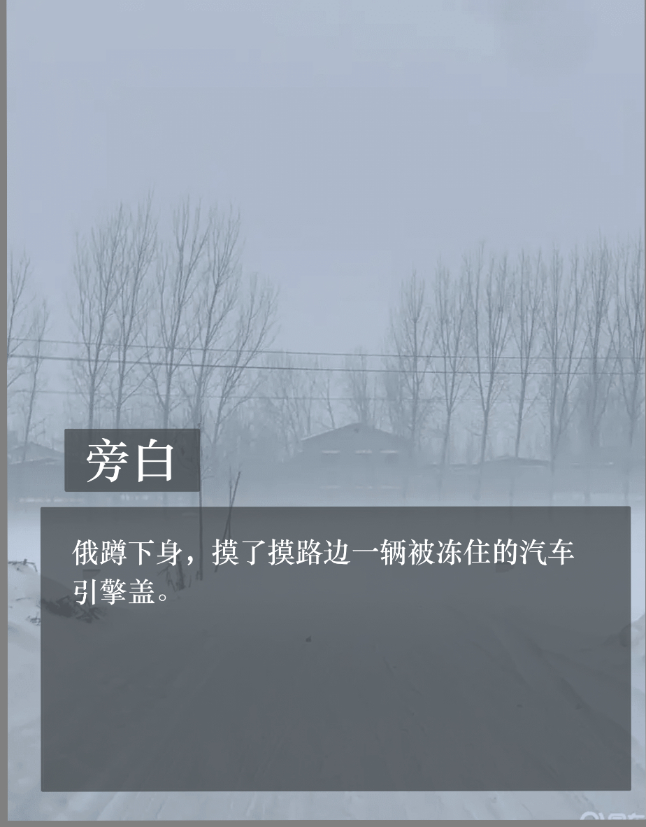 拟人圈