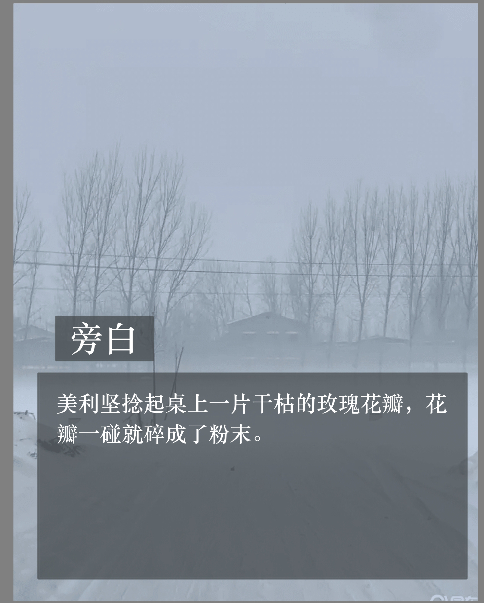 拟人圈