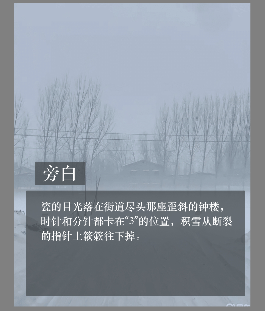 拟人圈