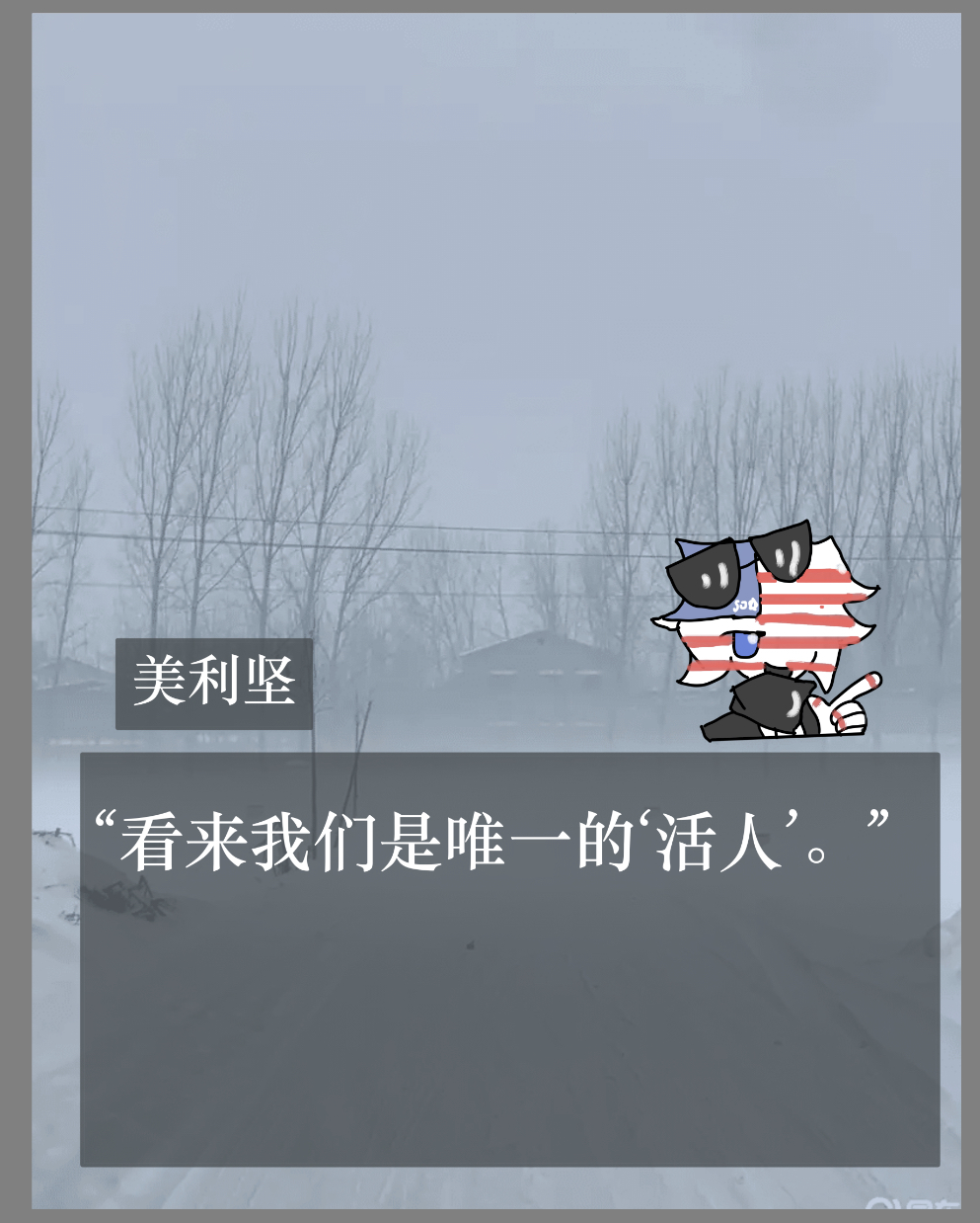 拟人圈