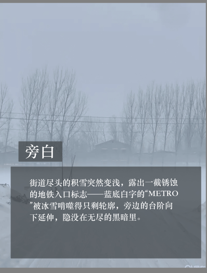 拟人圈
