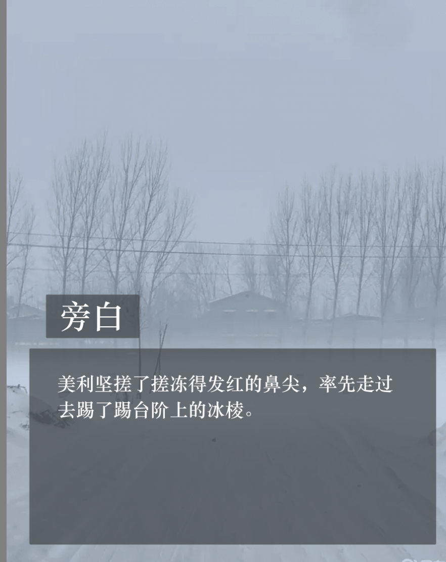 拟人圈