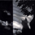 高级loser的头像-拟人圈