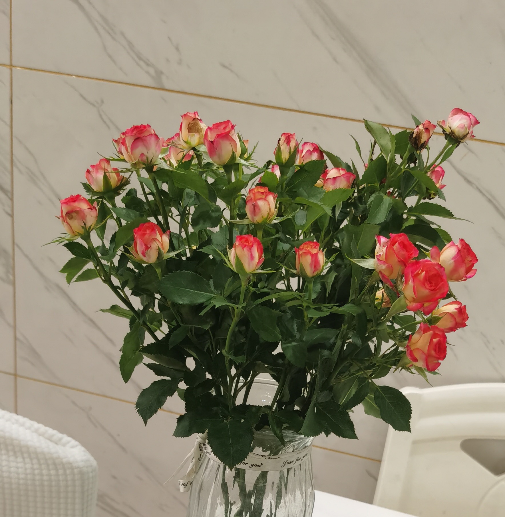 木木洛洛の旅行记-拟人圈