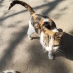 ZXYYY的头像-拟人圈