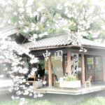 碧云孤鹤的头像-拟人圈