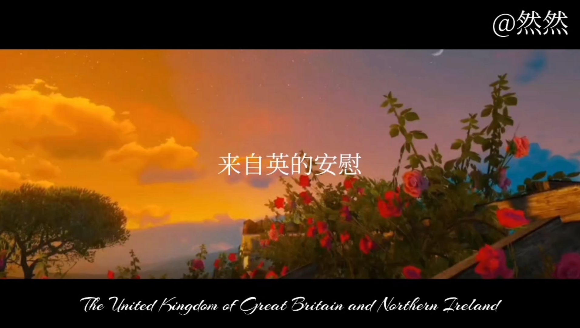 来着英的安慰