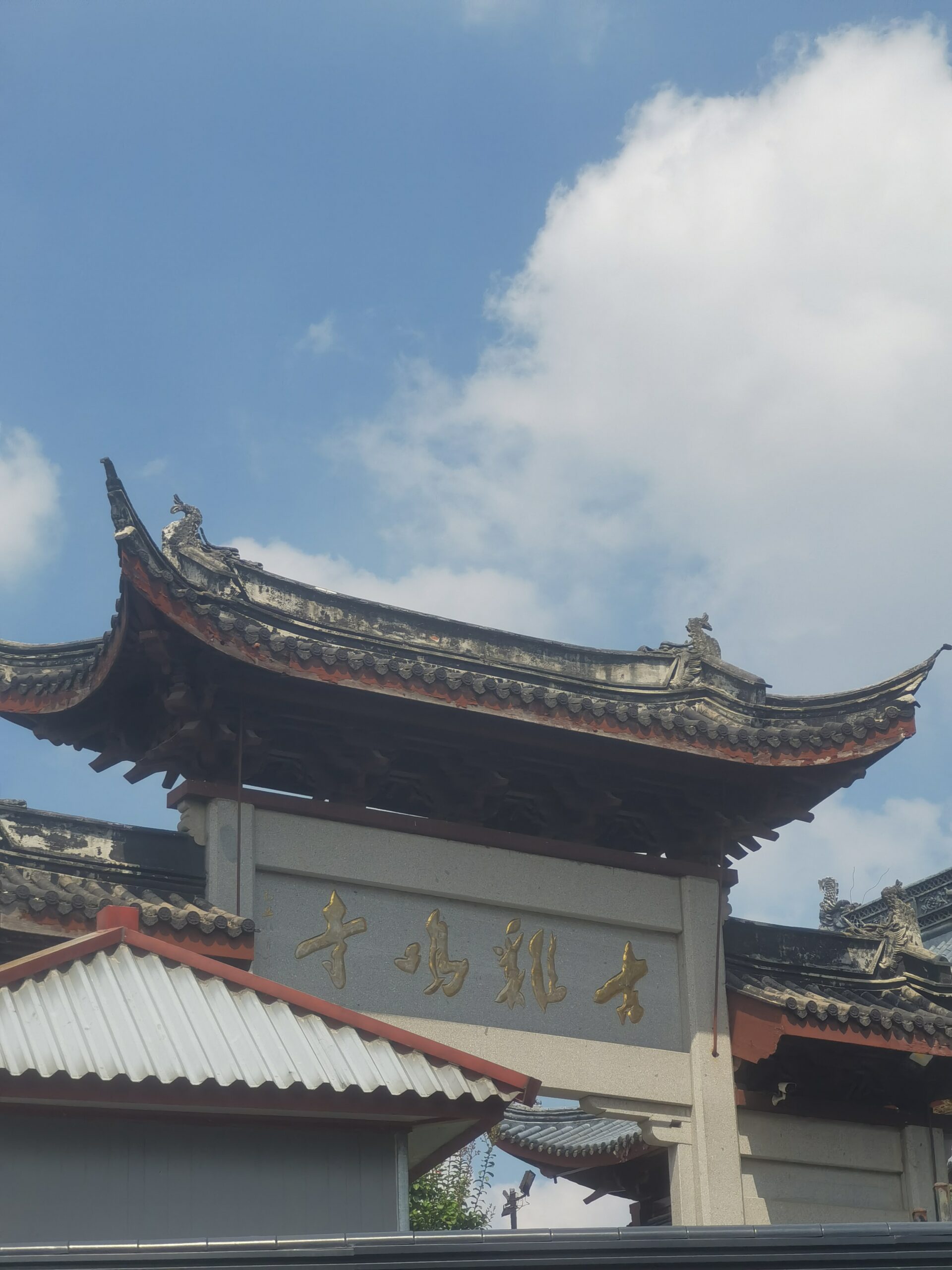 拟人圈
