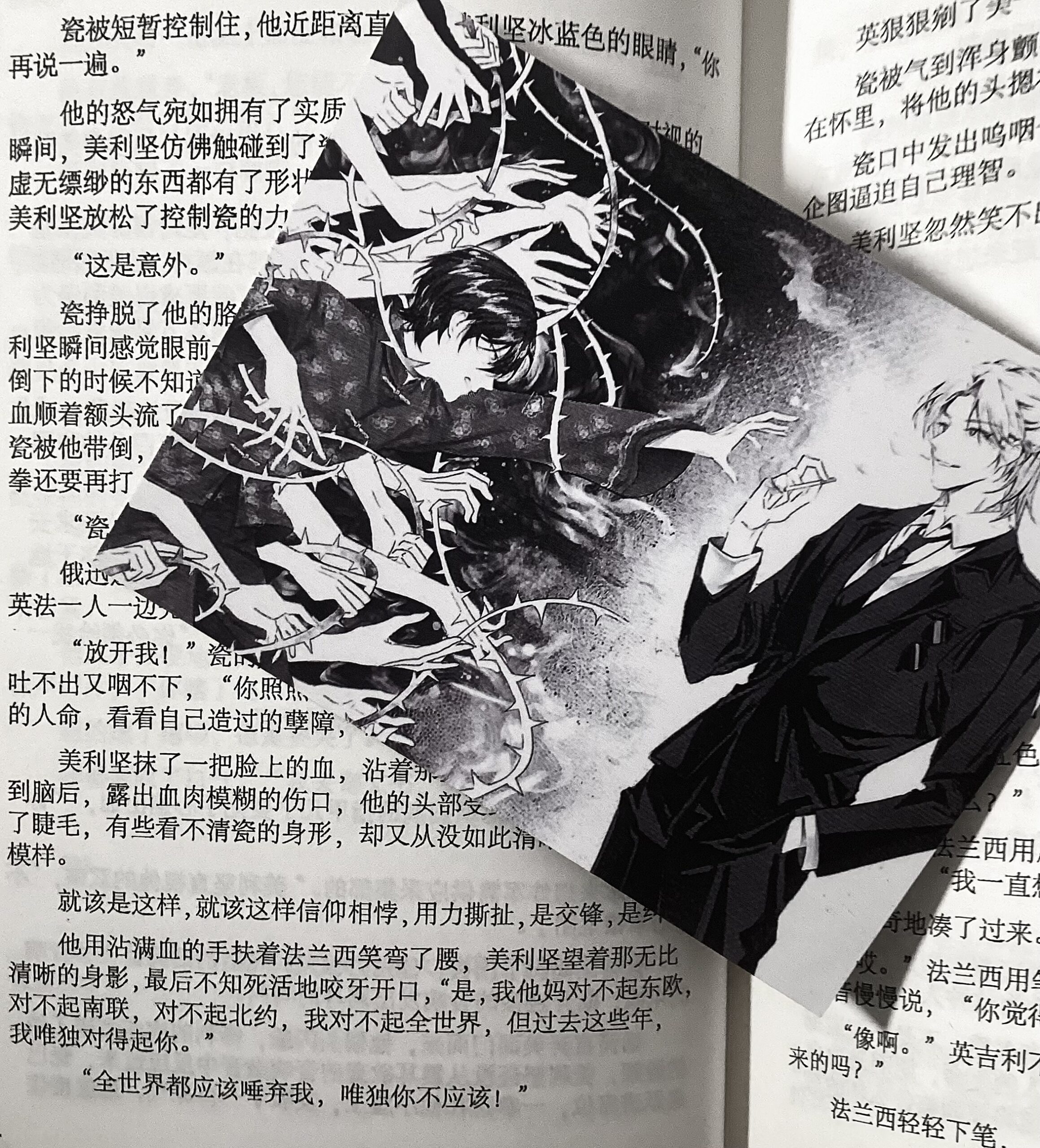 拟人圈