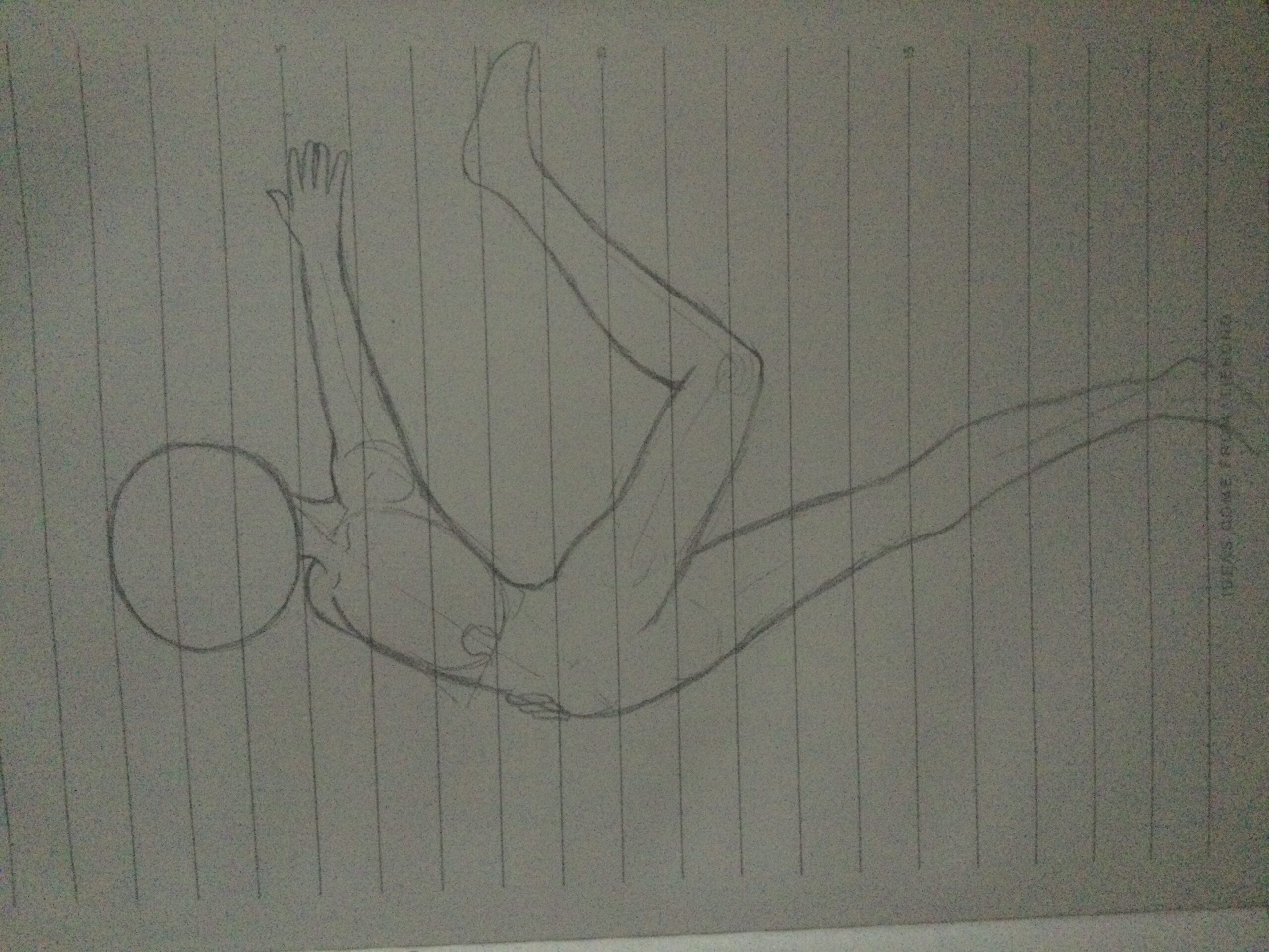 拟人圈