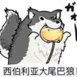 白拜-y的头像-拟人圈