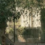 Yucgsd的头像-拟人圈