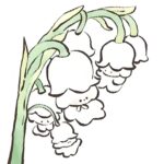 Konvalija的头像-拟人圈