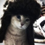 北纬48.41_106的头像-拟人圈