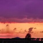 陈年啤酒肚的头像-拟人圈