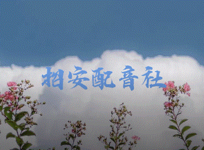 作品最终投票-拟人圈