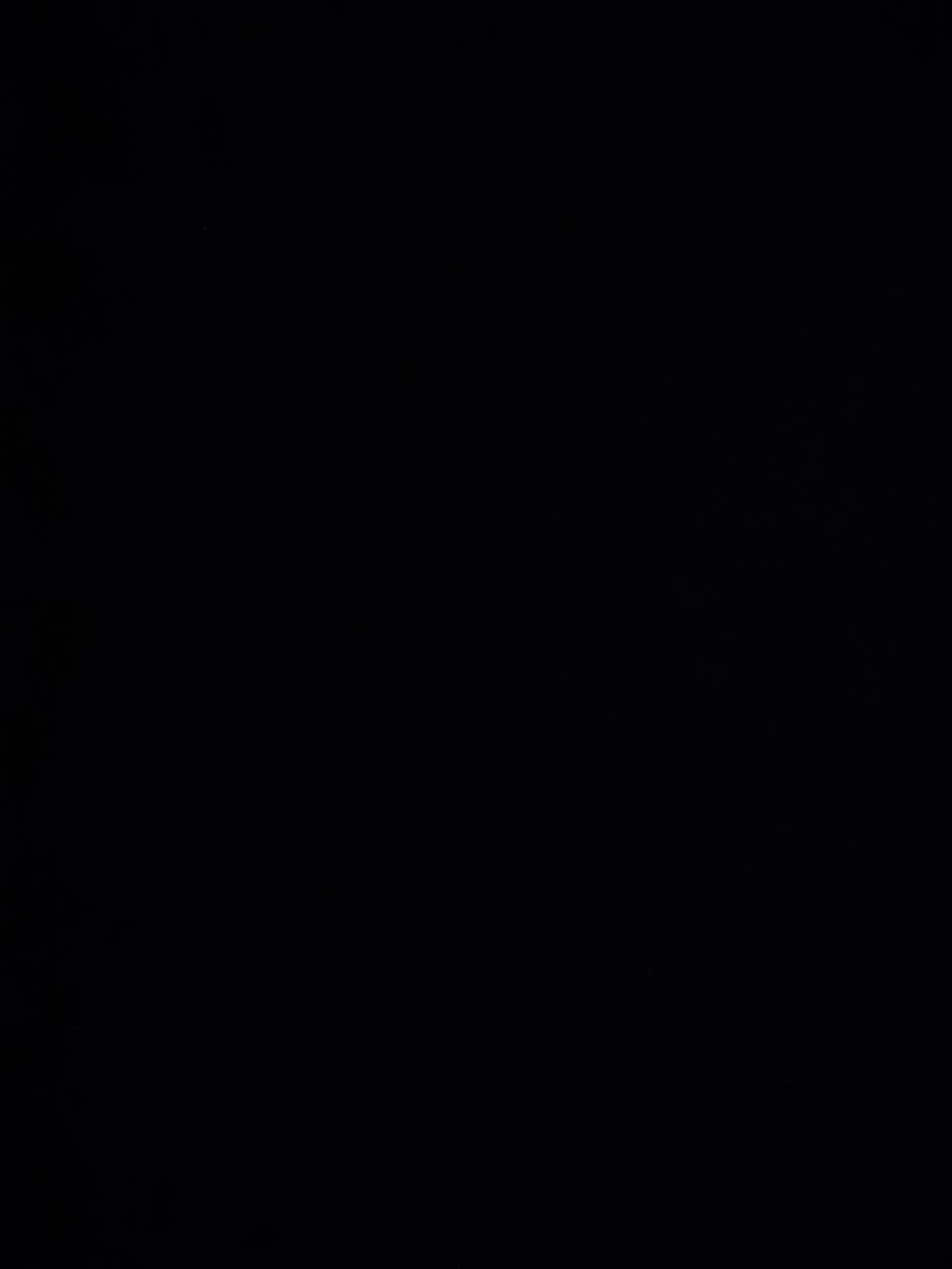 #国拟 #拿破仑战争-拟人圈