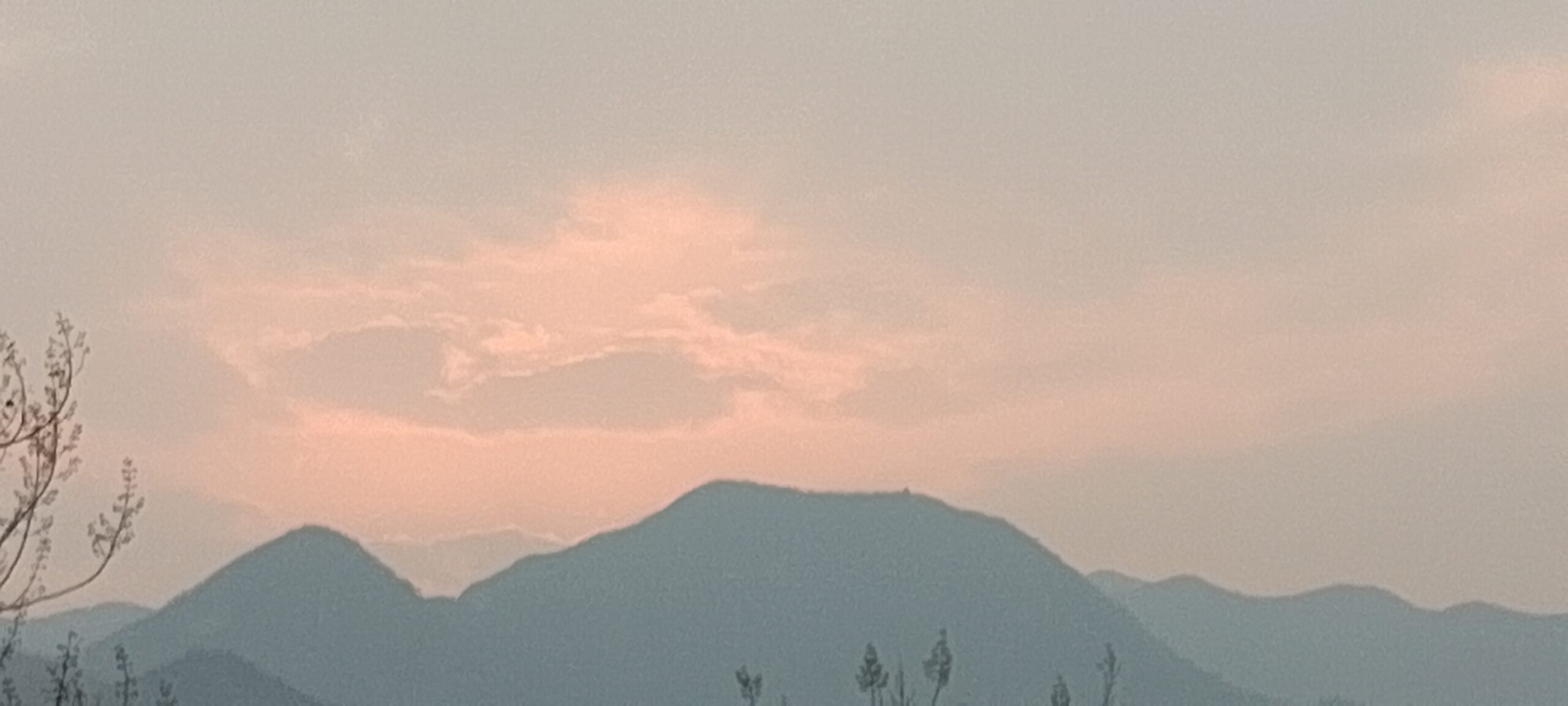 欸对不起-拟人圈