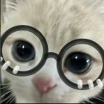 小黎的头像-拟人圈