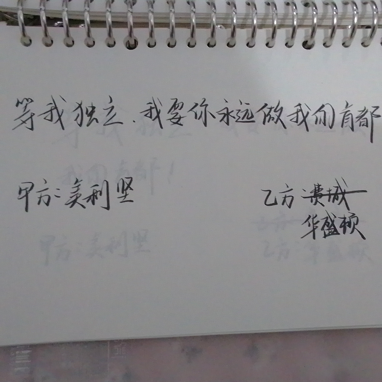 美利坚,华盛顿,费城-拟人圈