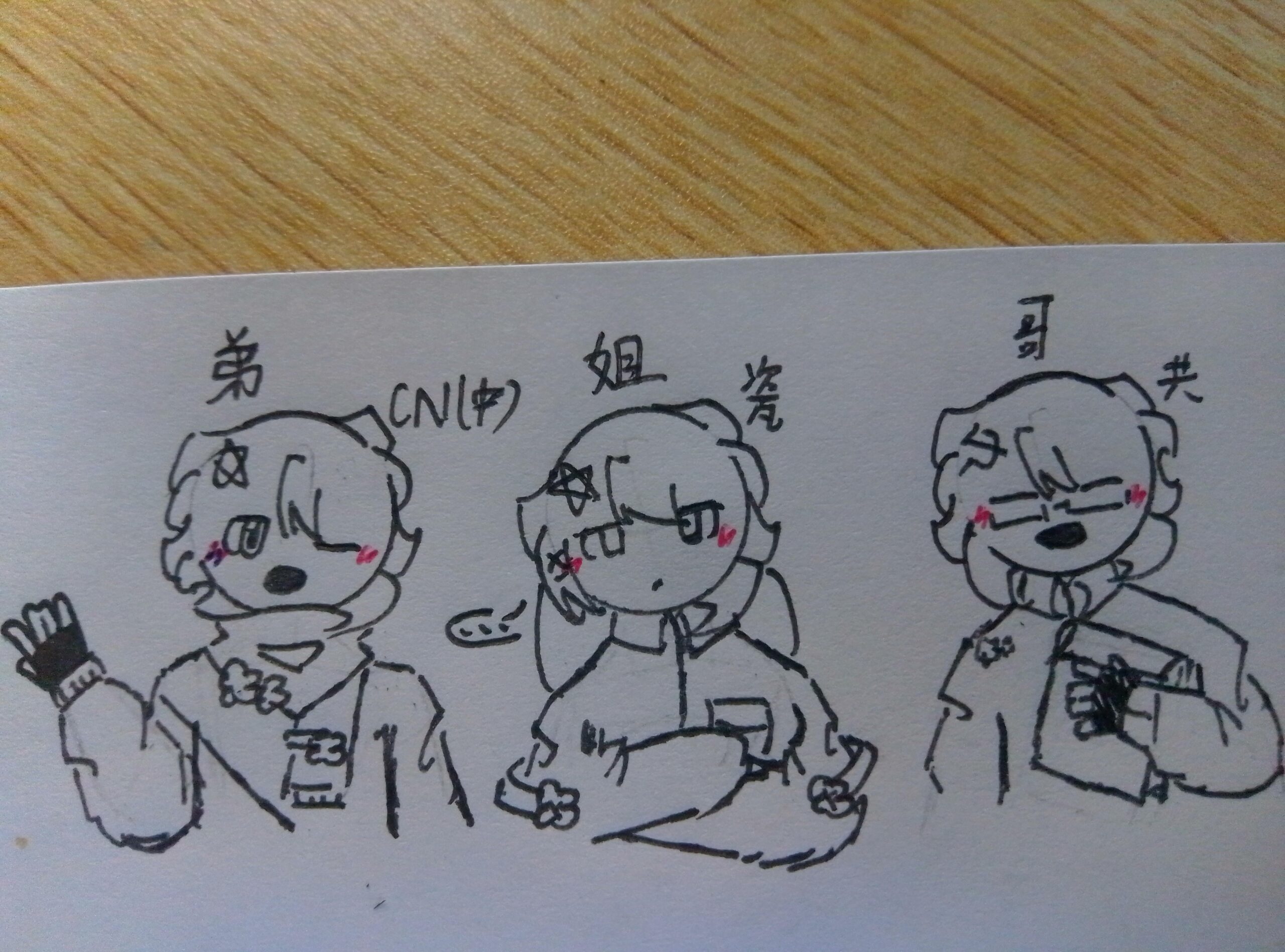 拟人圈