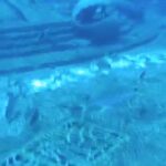 天行健的头像-拟人圈