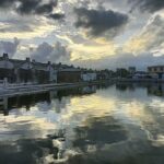 aaa陈调的头像-拟人圈