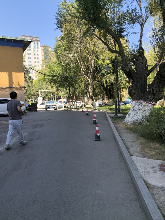 拟人圈