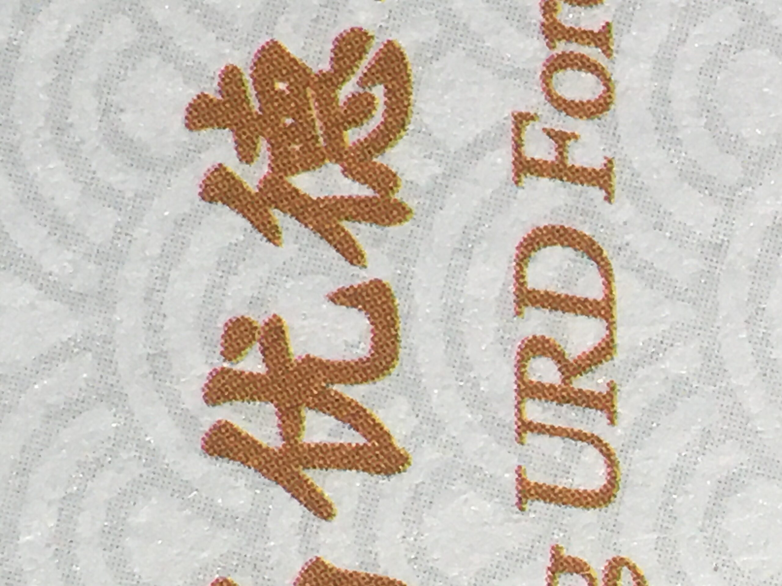 外校我爱你-拟人圈