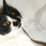 脱氧核糖核酸的头像-拟人圈