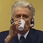 传奇战犯卡拉季奇的头像-拟人圈