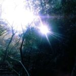 湳520的头像-拟人圈