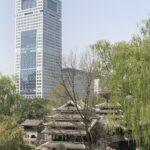 player41215的头像-拟人圈