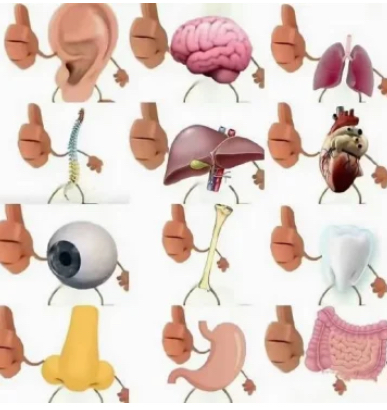 祝老中生日快乐（祝大家国庆快乐-拟人圈