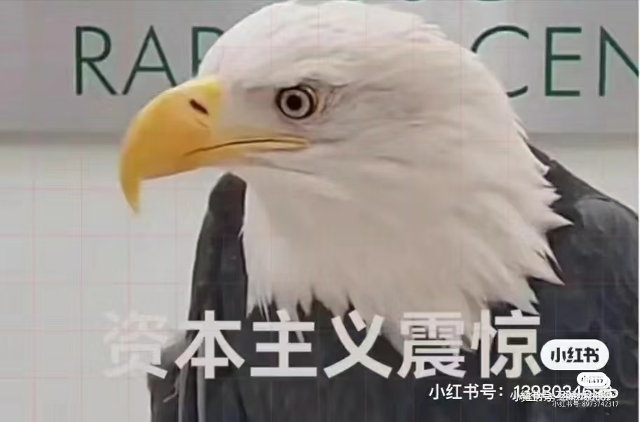 #春痕织棉专属话题-拟人圈