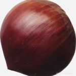 林萍的头像-拟人圈