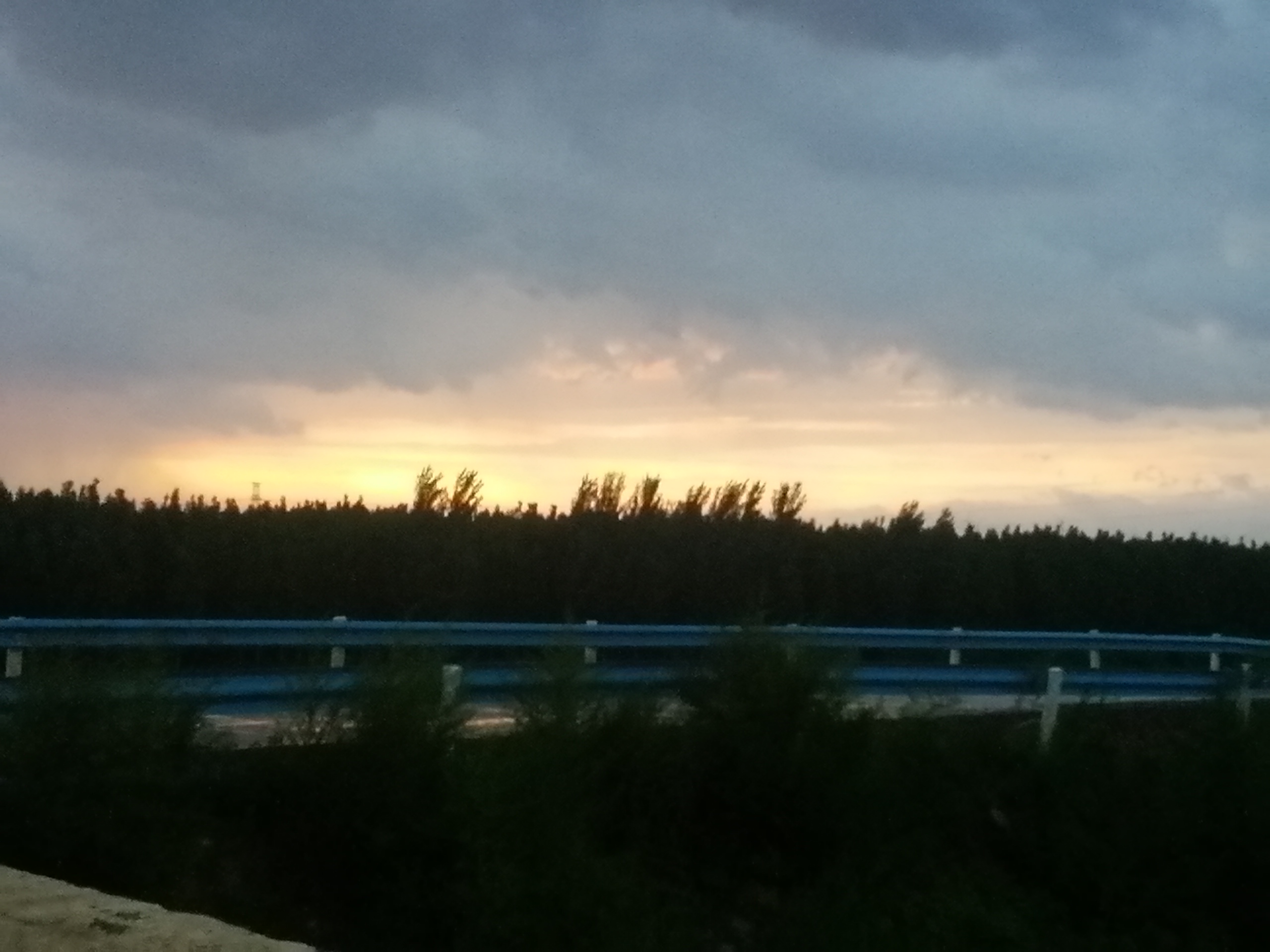 五常上综艺（2）-拟人圈