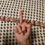 我勒个去终于找到了ch的一片净土的头像-拟人圈