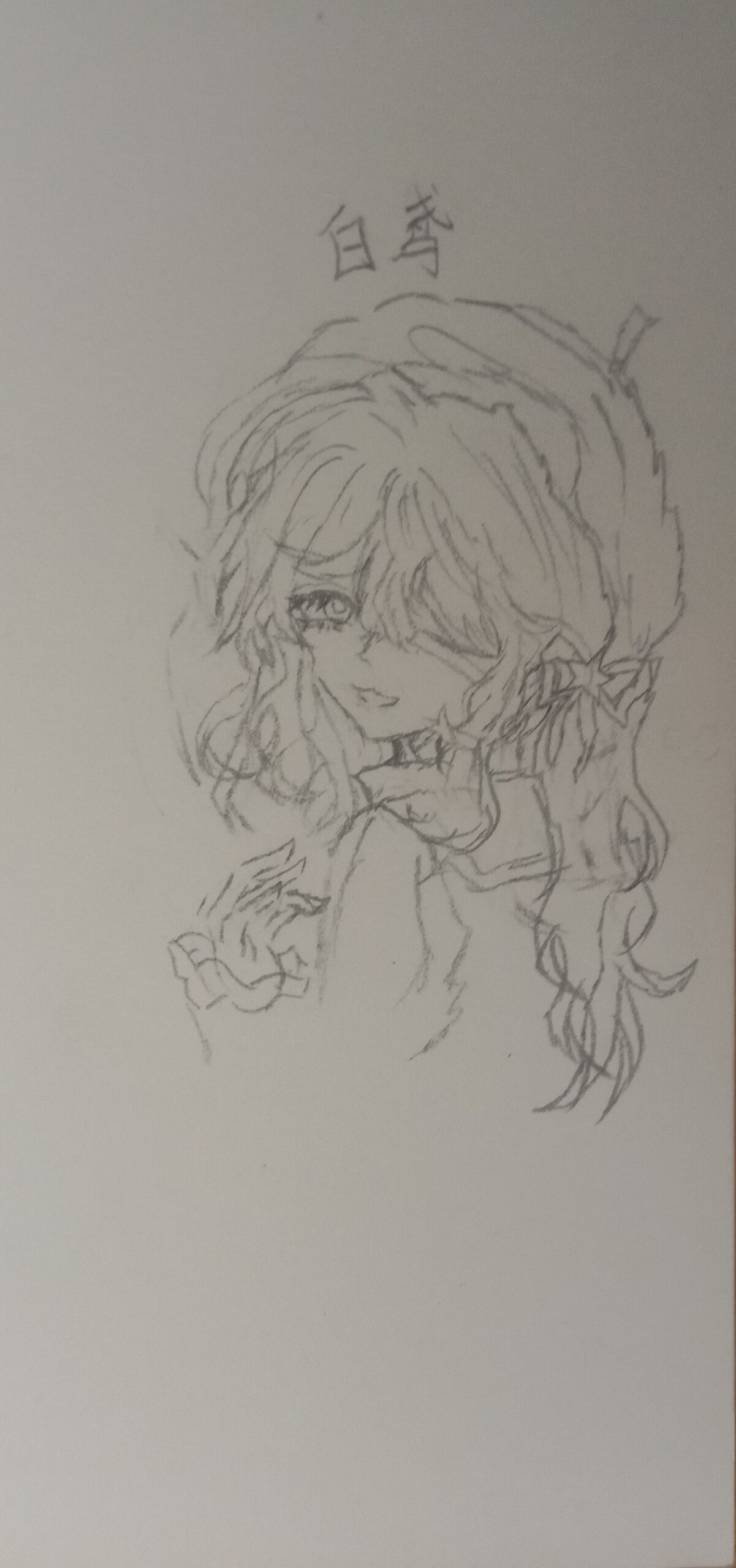 是自己oc白鸢，求夸夸-拟人圈