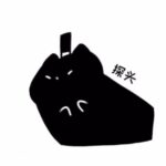 SkY瓷家愚者戏神信徒的头像-拟人圈